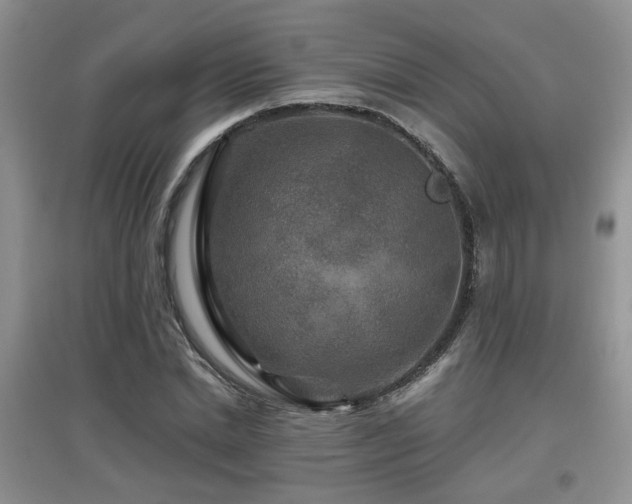 X0000097870830200803141256