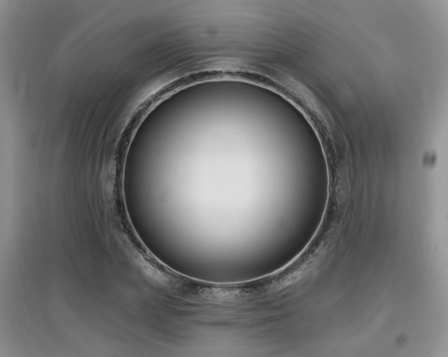 X0000097870831200803141256