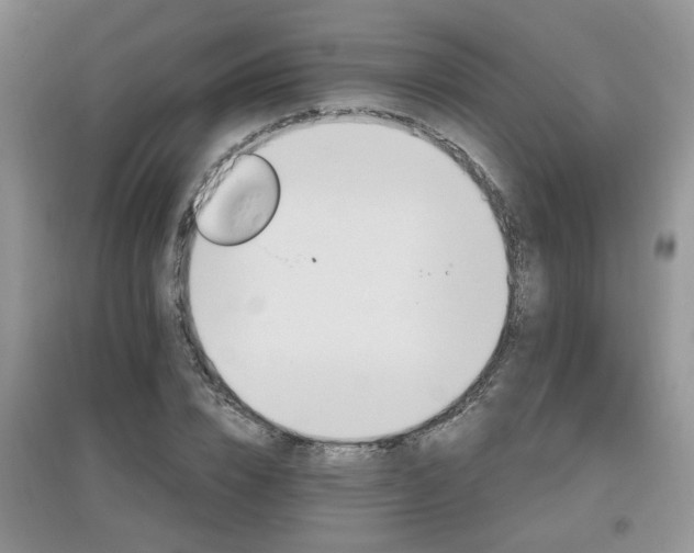 X0000097870832200803141256