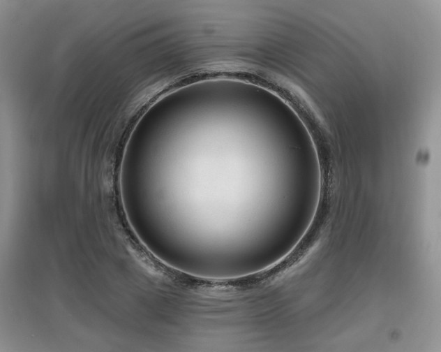 X0000097870833200803141256