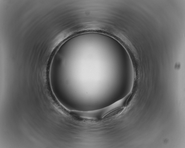 X0000097870834200803141256