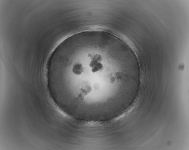 X0000097870835200803141256