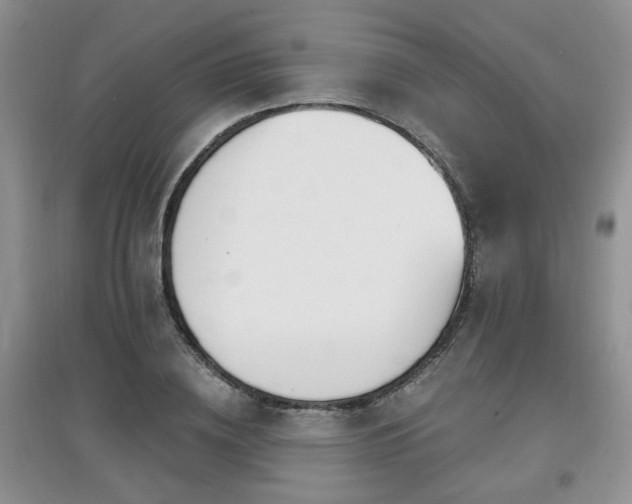 X0000097870836200803141256