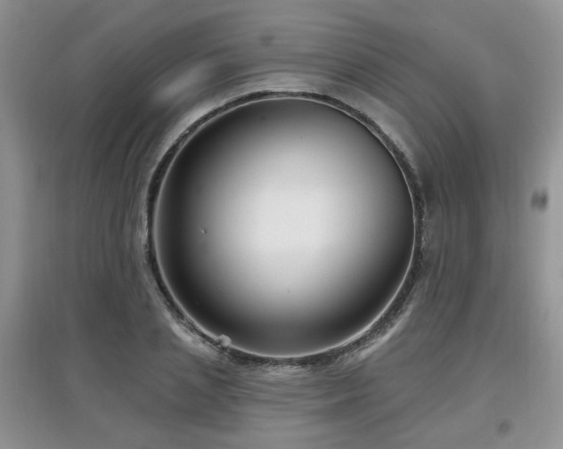 X0000097870837200803141256