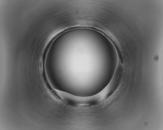 X0000097870838200803141256
