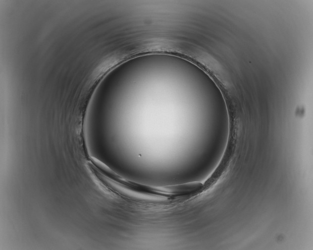 X0000097870841200803141256