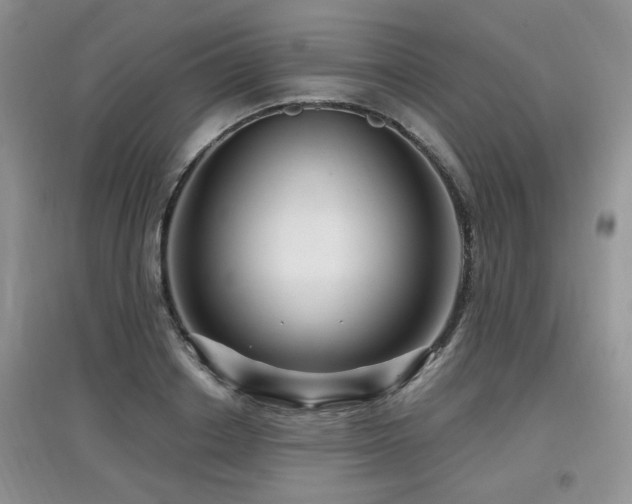 X0000097870842200803141256