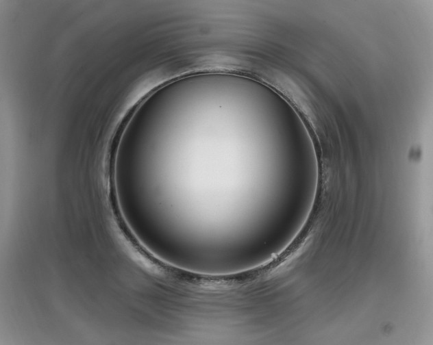 X0000097870843200803141256