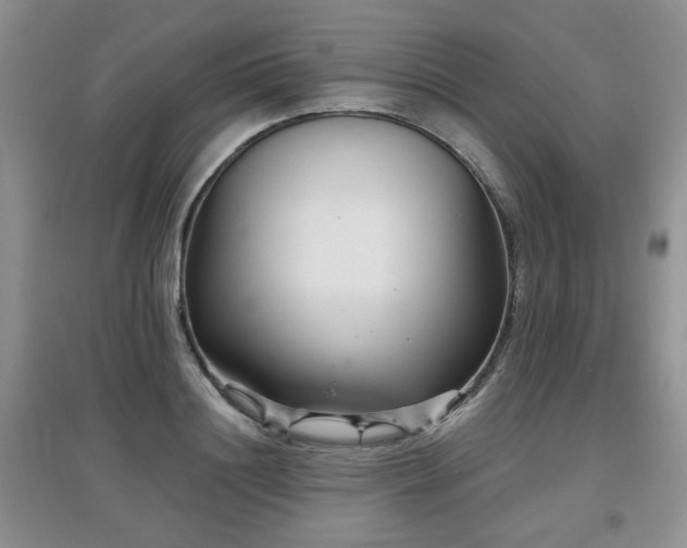 X0000097870844200803141256