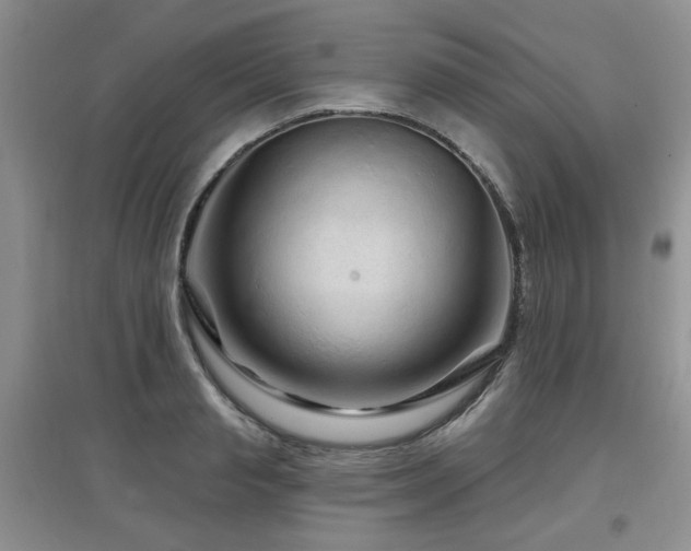 X0000097870845200803141256