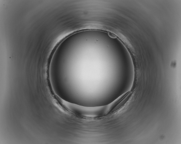 X0000097870846200803141256