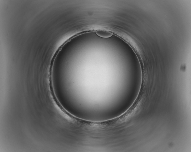 X0000097870847200803141256