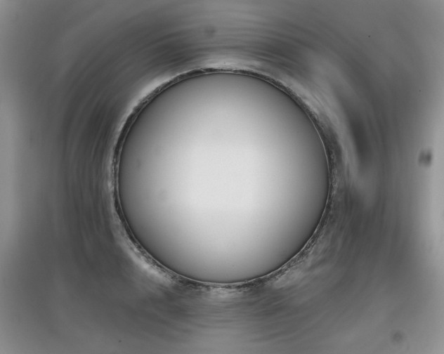 X0000097870848200803141256