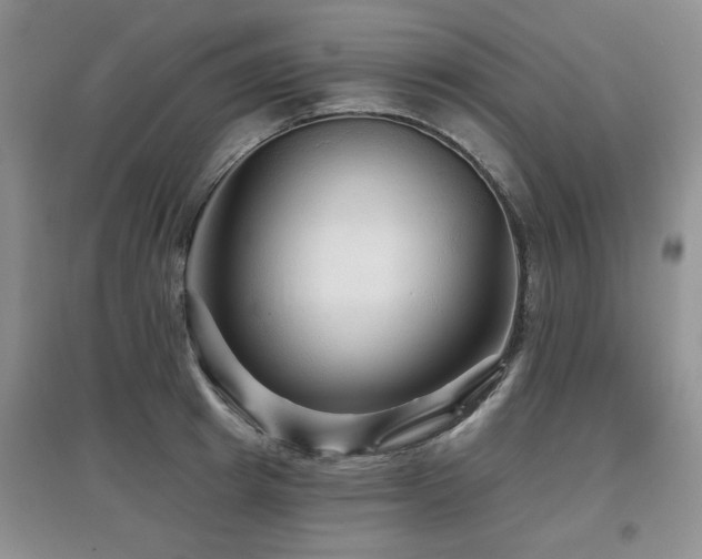 X0000097870849200803141256