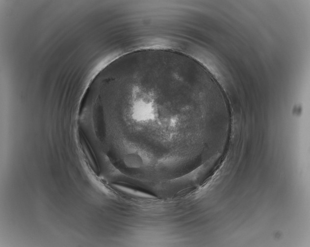 X0000097870850200803141256