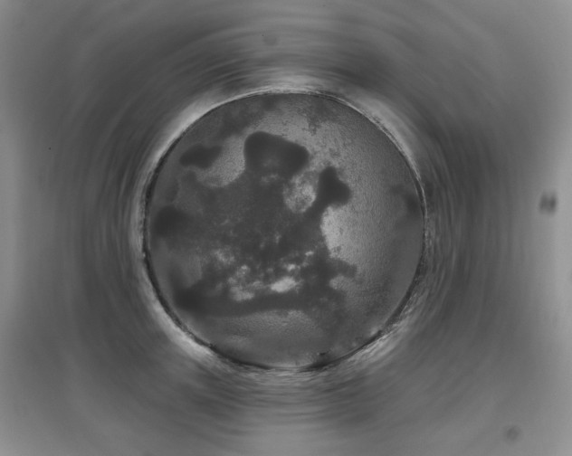 X0000097870851200803141256
