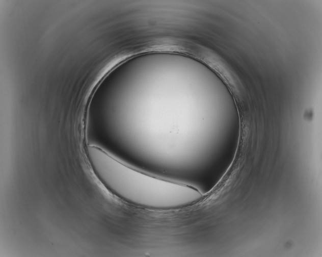 X0000097870852200803141256
