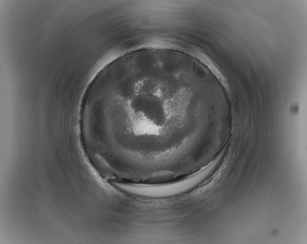 X0000097870853200803141256
