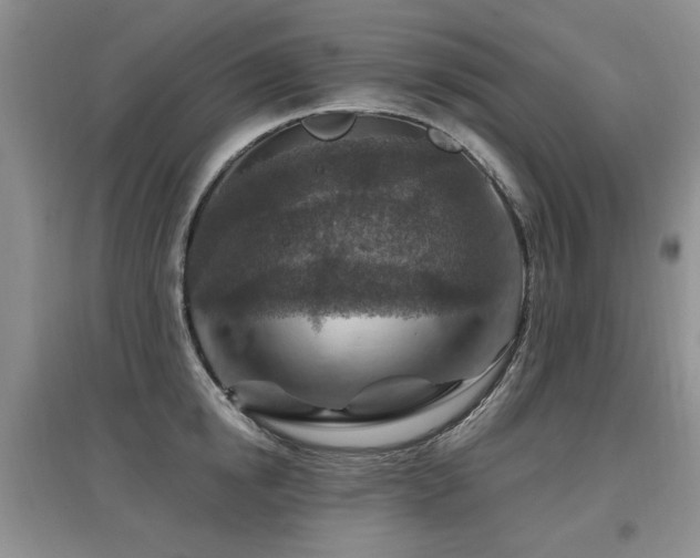 X0000097870854200803141256