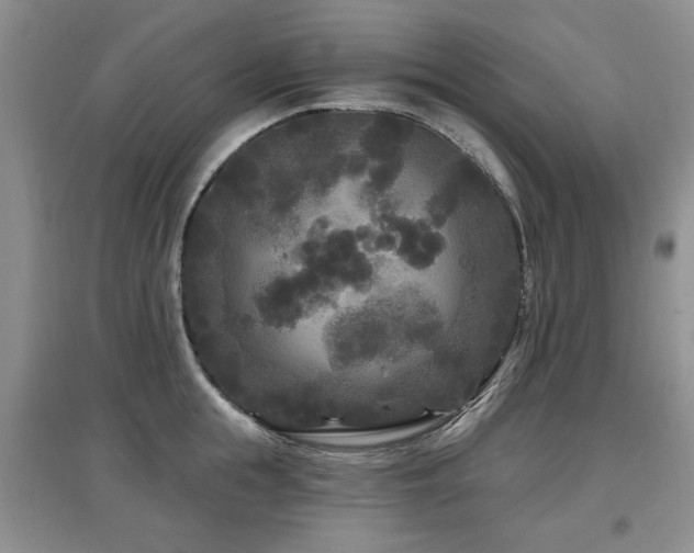X0000097870855200803141256