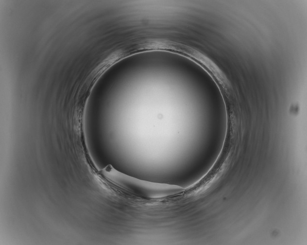 X0000097870857200803141256