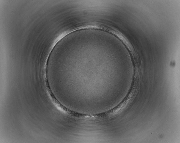X0000097870858200803141256