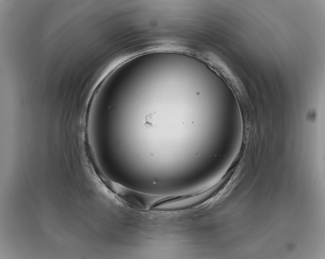 X0000097870860200803141256