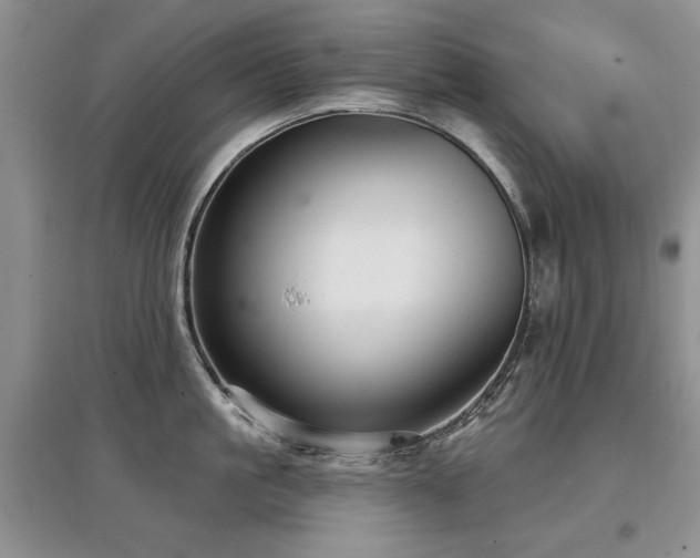 X0000097870861200803141256