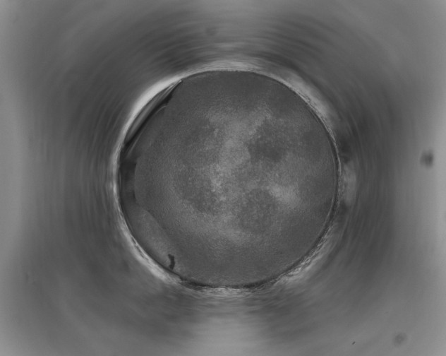X0000097870862200803141256