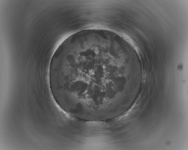 X0000097870863200803141256
