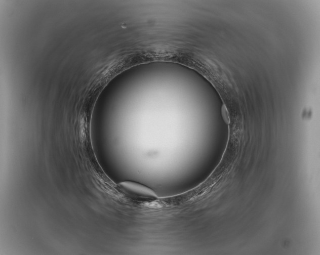 X0000097870866200803141256