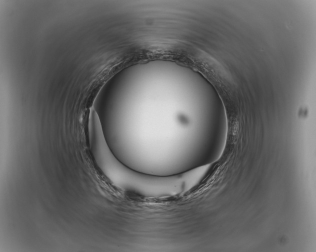 X0000097870868200803141256