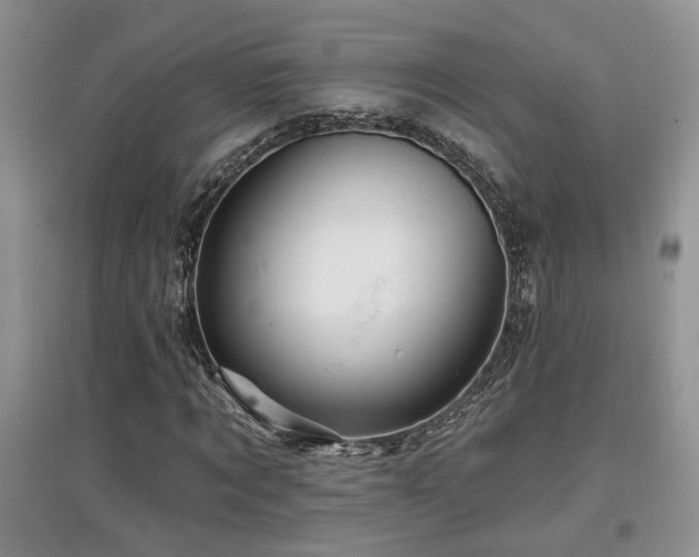 X0000097870869200803141256