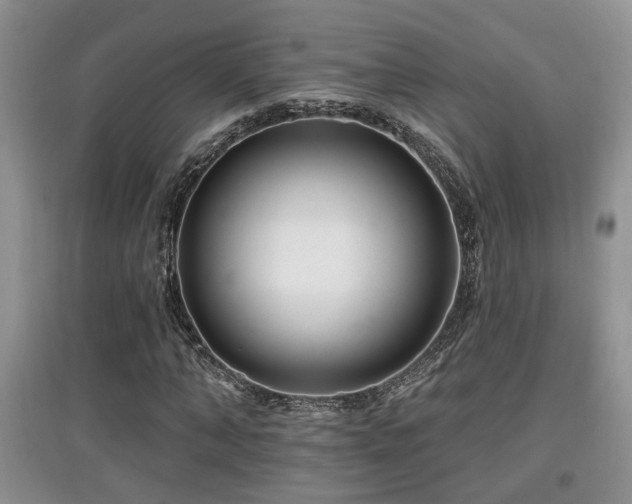 X0000097870870200803141256