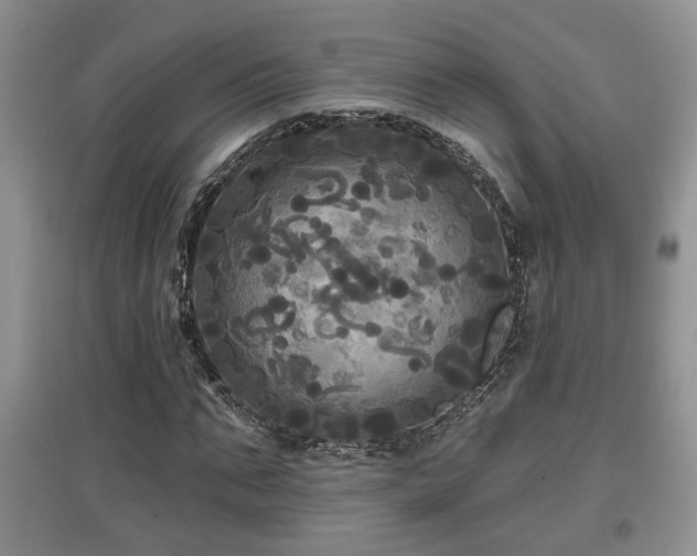 X0000097870871200803141256