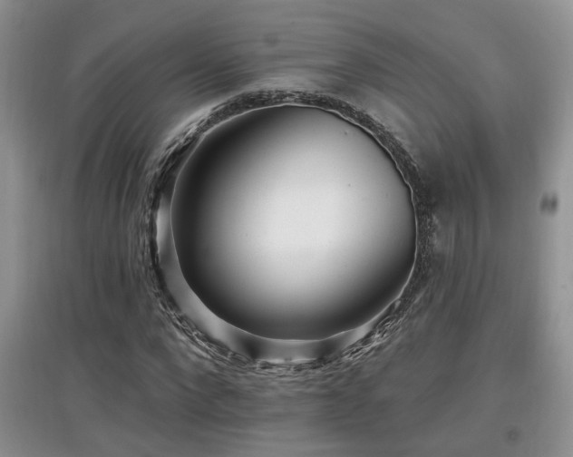 X0000097870872200803141256
