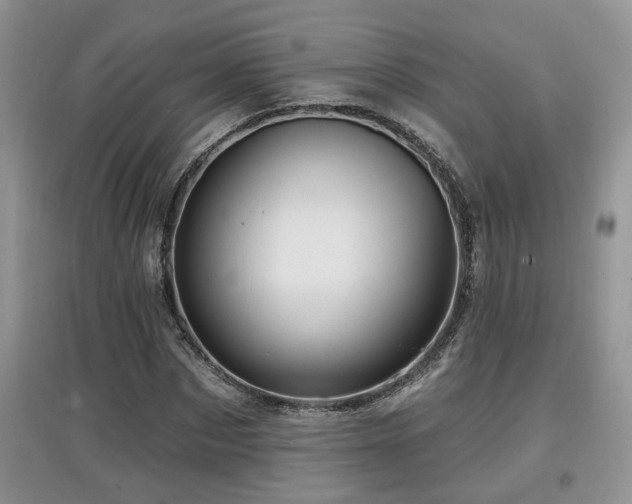 X0000097870873200803141256