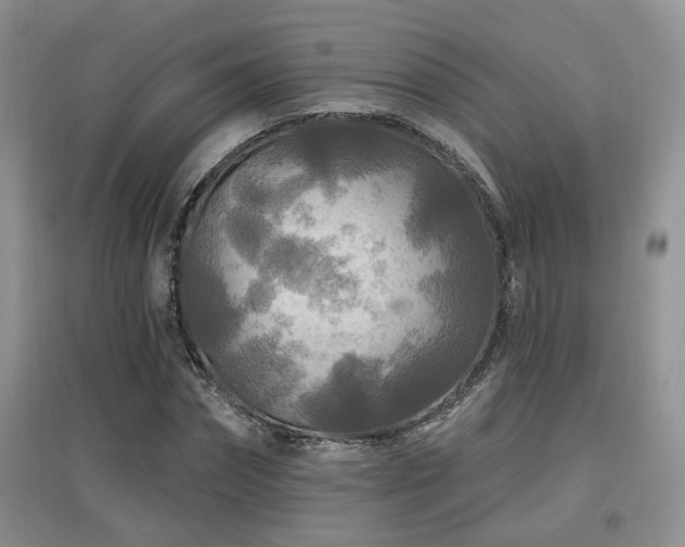 X0000097870874200803141256