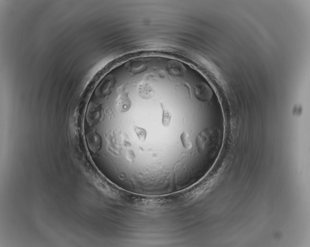 X0000097870875200803141255