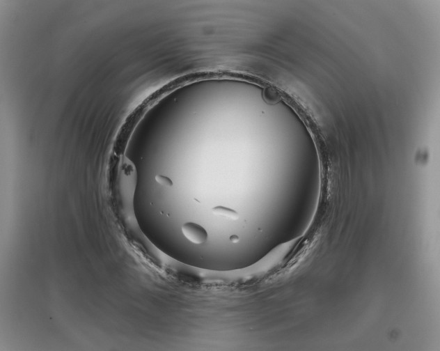 X0000097870876200803141255