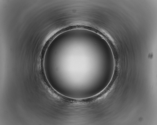 X0000097870877200803141255
