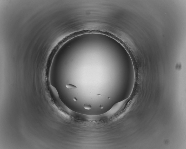 X0000097870880200803141255