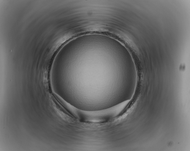 X0000097870881200803141255