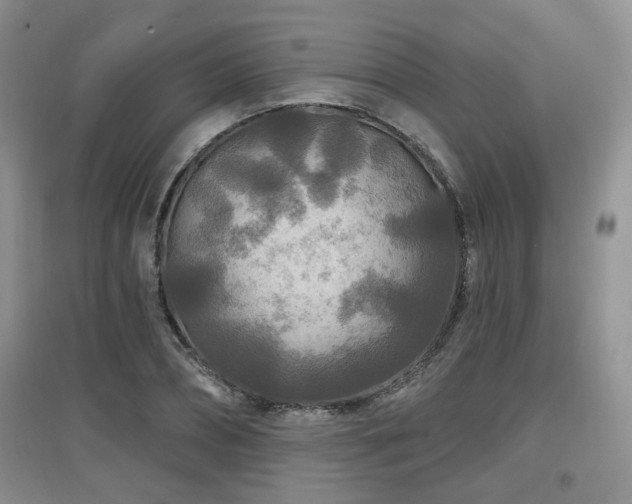 X0000097870882200803141255