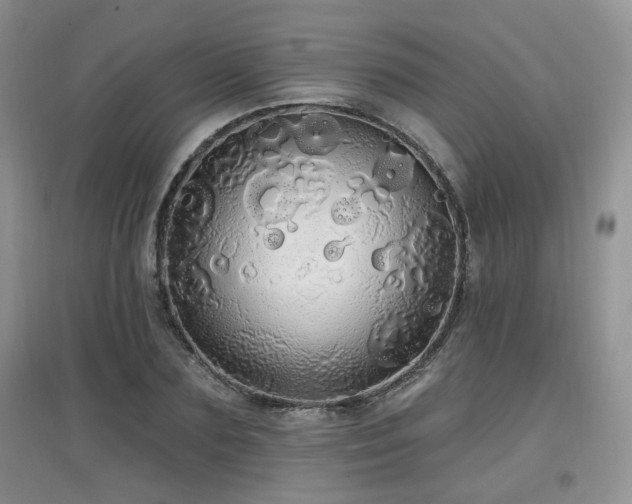 X0000097870883200803141255