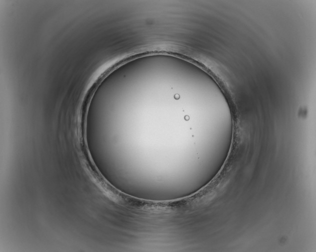 X0000097870886200803141255