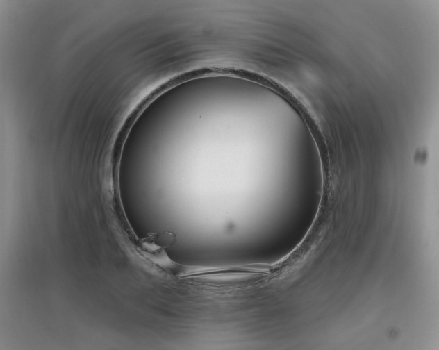 X0000097870887200803141255