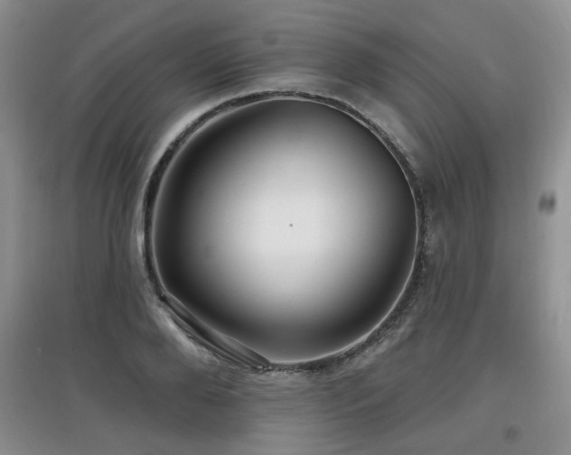 X0000097870888200803141255