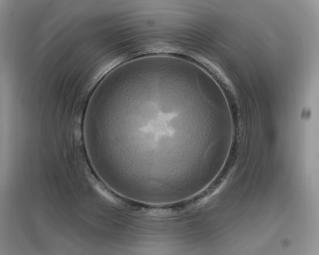 X0000097870889200803141255