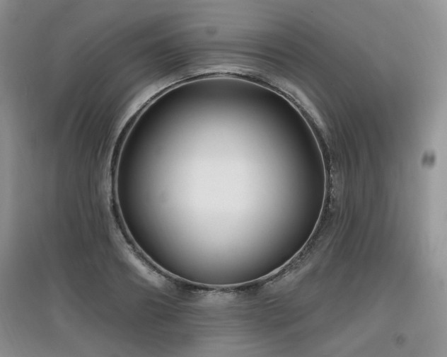 X0000097870890200803141255